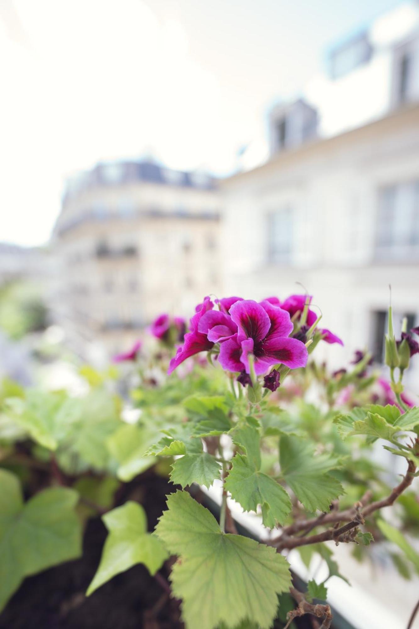 Hotel Corona -Rodier- Paris Dış mekan fotoğraf